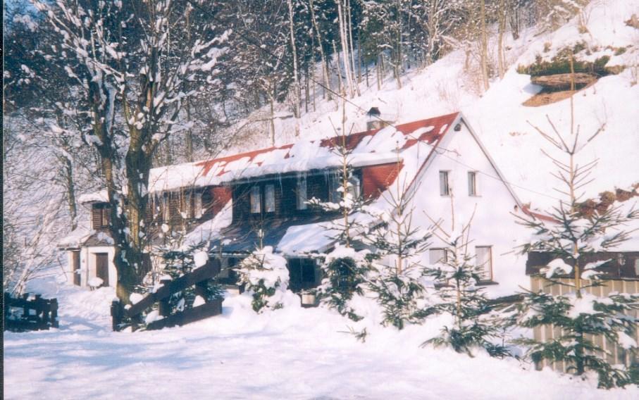Holiday Home Ve Vlcicich Vlcice المظهر الخارجي الصورة
